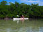 Image_462-302