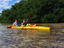 Image_462-303