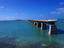 Image_462-501