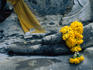 Marigold garland and coin offerings for Buddha at the Ayuthaya Historical Park.