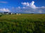 Causeway, County Antrim