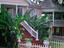 Jamaican architecture with tropical ferns and the flowering red ginger flower in Kingston