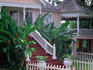 Jamaican architecture with tropical ferns and the flowering red ginger flower in Kingston
