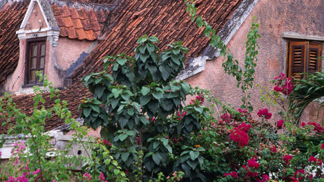 The island, Curacao