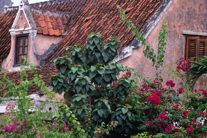 The island of Curacao was first settled by the Dutch and cities like Willemstad, the capital, have adapted the architecture to a tropical equivalent, however many have retained the European element