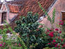 The island of Curacao was first settled by the Dutch and cities like Willemstad, the capital, have adapted the architecture to a tropical equivalent, however many have retained the European element