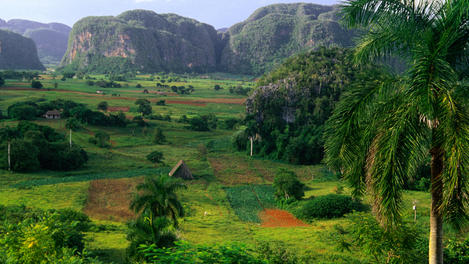 Image_4720-43