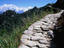 Image_4728-5