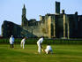 Cricket and Warkworth Castle - Warkworth, Northumberland, England