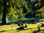 Image_4792-24