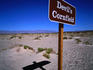 An abundant crop at Devil's Cornfield in Death Valley.