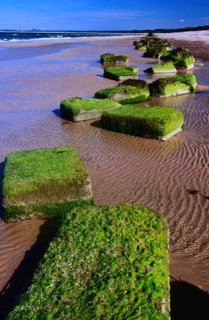 Blocks of moss on Findhorn beach in the Scottish Highlands