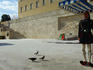 Guard outside the Tomb of the Unknown Soldier, Syntagma square, Athens.