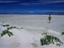 A person walking across a salt lake near Salt Lake City.
