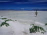 A person walking across a salt lake near Salt Lake City.