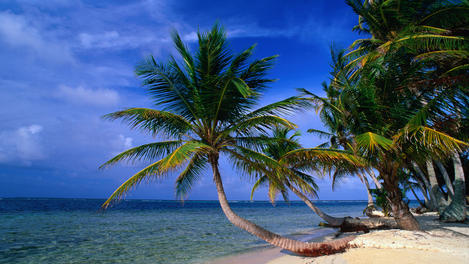 Image_4977-6