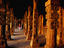 Image_4979-12