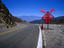 Road works, Death Valley