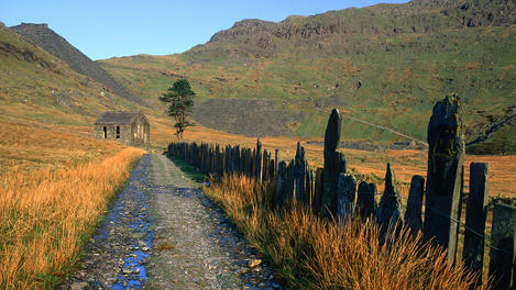Image_4993-33
