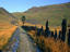 Slate fence, North Wales