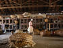 Chicken Market - Zanzibar City (Stone Town)