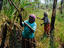 Arnhem Land, Northern Territory
