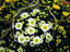 Image_5028-7