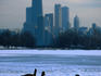Four Canada geese (Branta canadensis) on frozen lagoon with North Loop skyline in background.