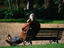 Seated male talking on a cellular phone at Parco Villa Borghese ( park ), Rome