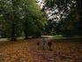 Children amongst autumn leaves at Bute Park.