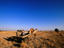Image_5142-6