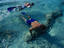 The reefs, Isla Cozumel