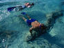Snorkelling in and around the reefs off Cozumel.