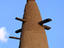 Detail of a tower, Grand Mosque