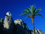 Clifftop bell-tower with palm tree in foreground, at Guadalest in the Alicante region.