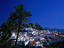 Palm trees, Andalucía