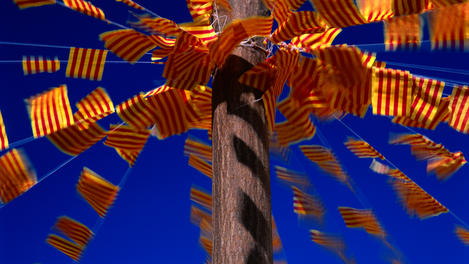 Striped bunting, Alicante