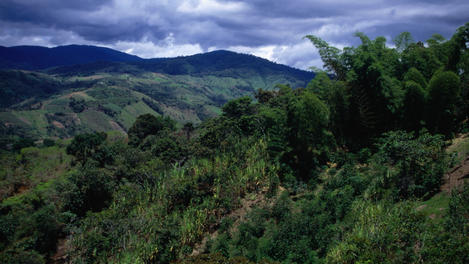 Image_5237-16