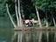 Image_5243-14