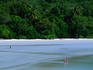 The rainforest meets the reef in Cape Tribulation