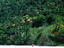 National Park, Far North Queensland
