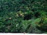 The beautiful Daintree National Park