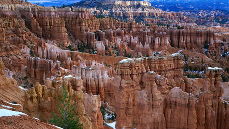 Image_5268-1