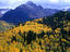 Forest with mountain, Colorado