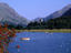 Seagulls boating on Llanberis Lake (Llyn Padarn), Wales.