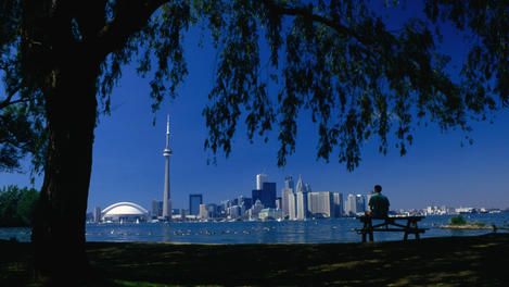Toronto Image Gallery