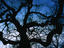 Image_5328-9