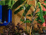 Flora and colours of Mexico on the Riviera Maya.