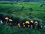 Procession through the rice fields near Tampaksiring in Bali.