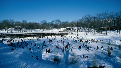 Image_5362-14